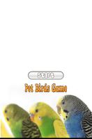 Pet Birds Game