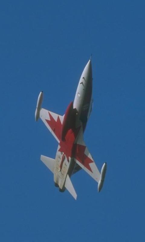 Jigsaw Puzzle Fighter Jet F