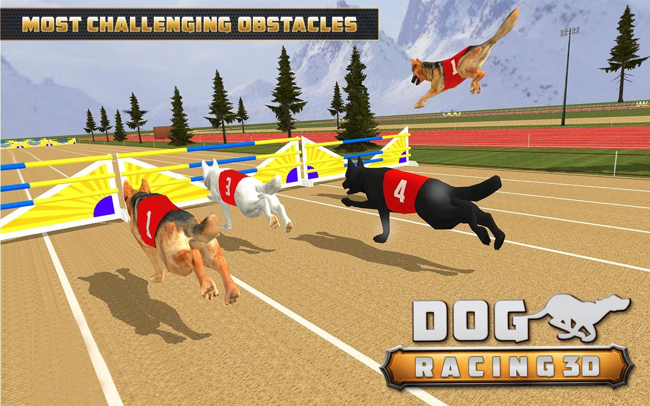 Dog Racing  3D Run  Animal  Doggy Race: pet Racing