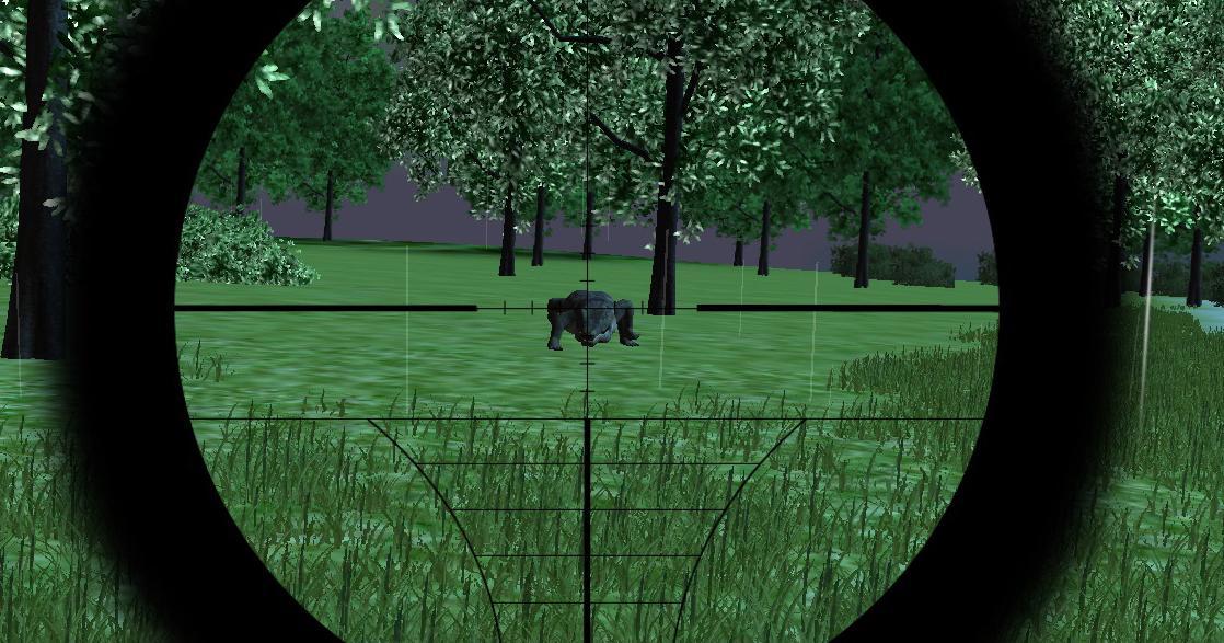 Jungle Animal Hunting