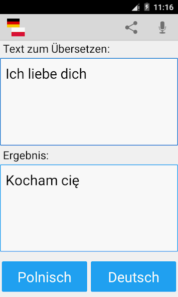 German Polish Translator