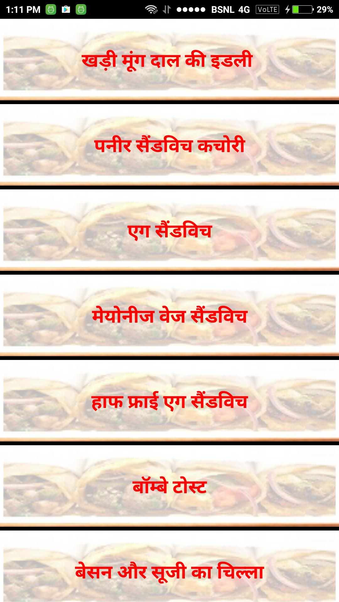 Fast Food Naashta
