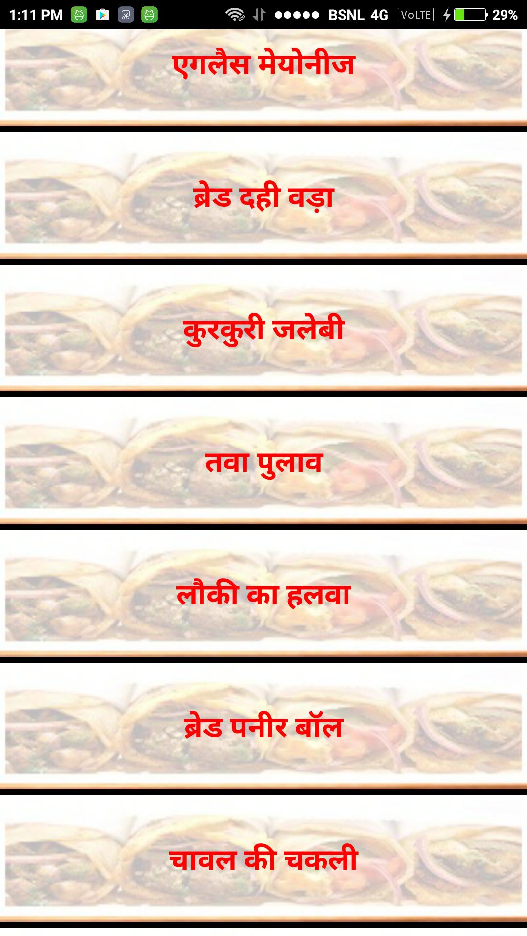 Fast Food Naashta
