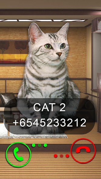 Fake Video Call Cat