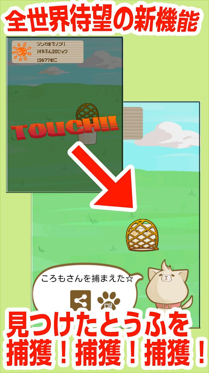 Mr. tofu