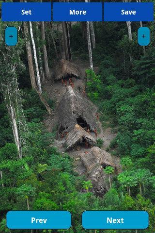 Amazon wallpapers