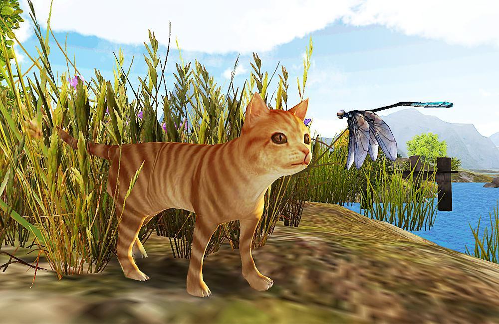 wild cat survive