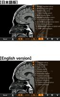Interactive CT & MRI Anat.Lite