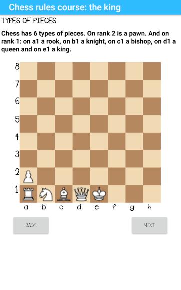 Chess rules part 2