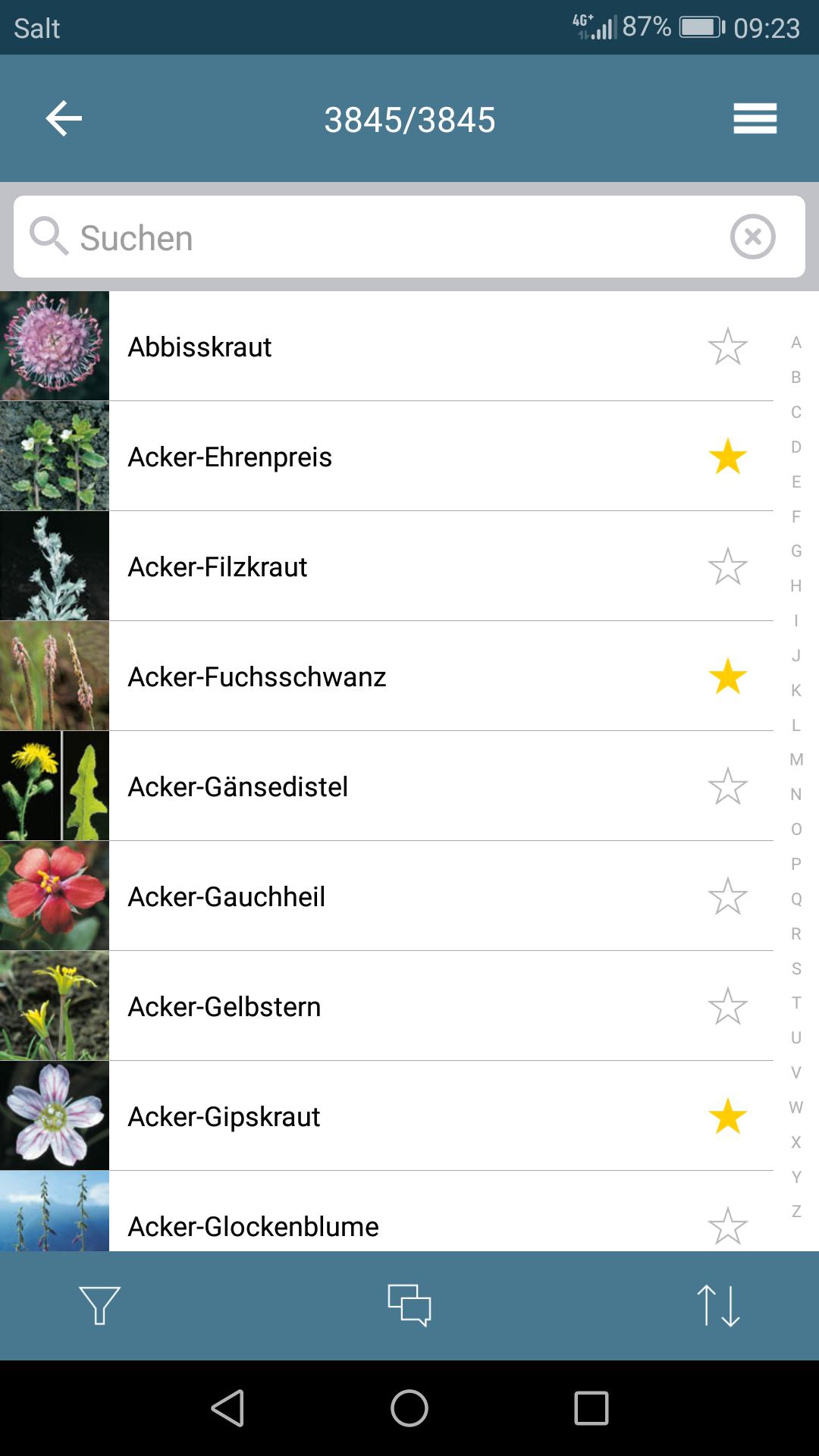 Flora Helvetica