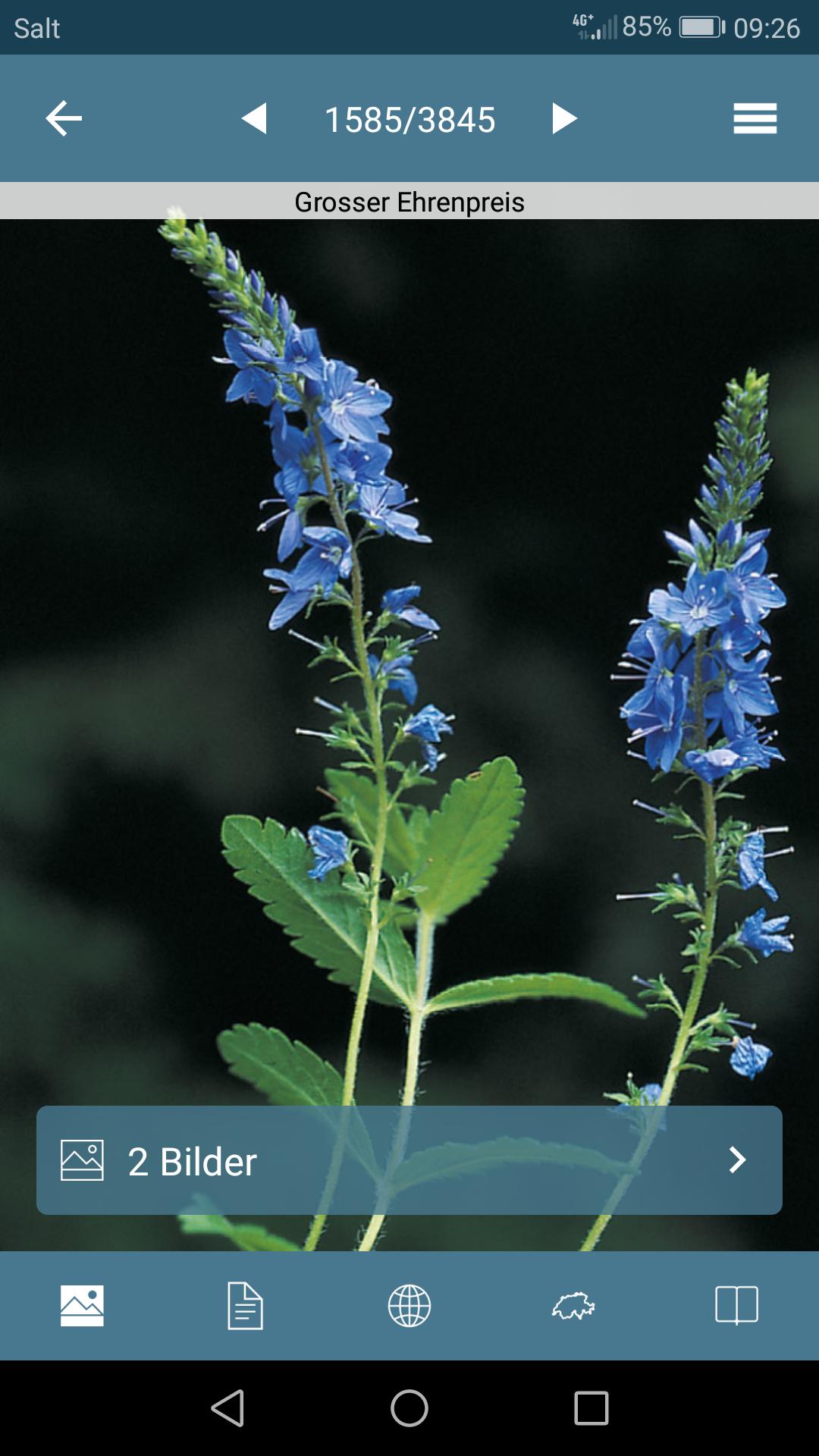 Flora Helvetica