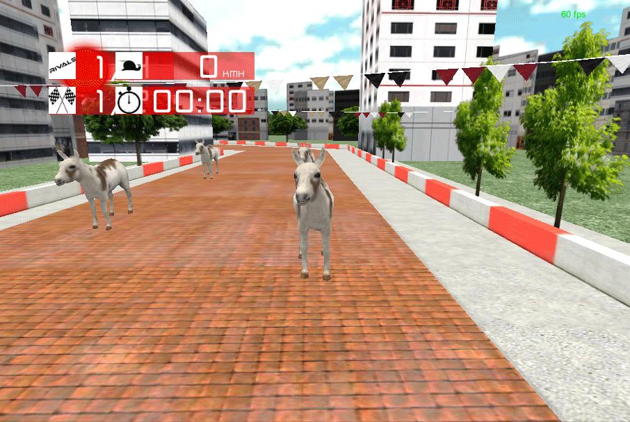 Animal Racing : Donkey