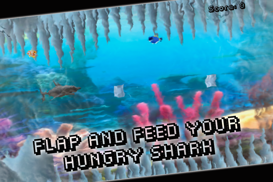 Clumsy Shark Fish