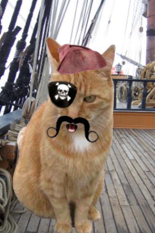 Dress Up Kitty