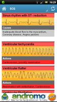 Paramedics - First Aid