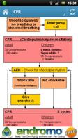Paramedics - First Aid