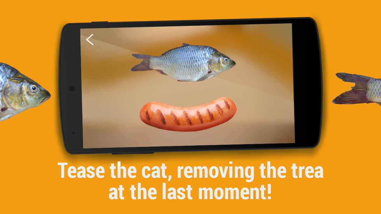 Cat hunts for fish