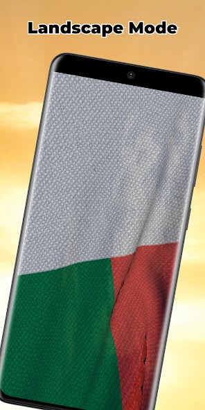 Madagascar Flag