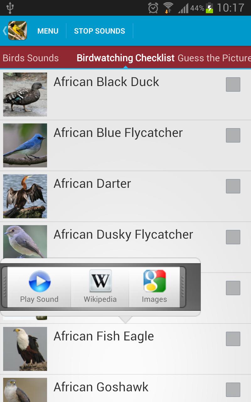 African Birds Sounds Free