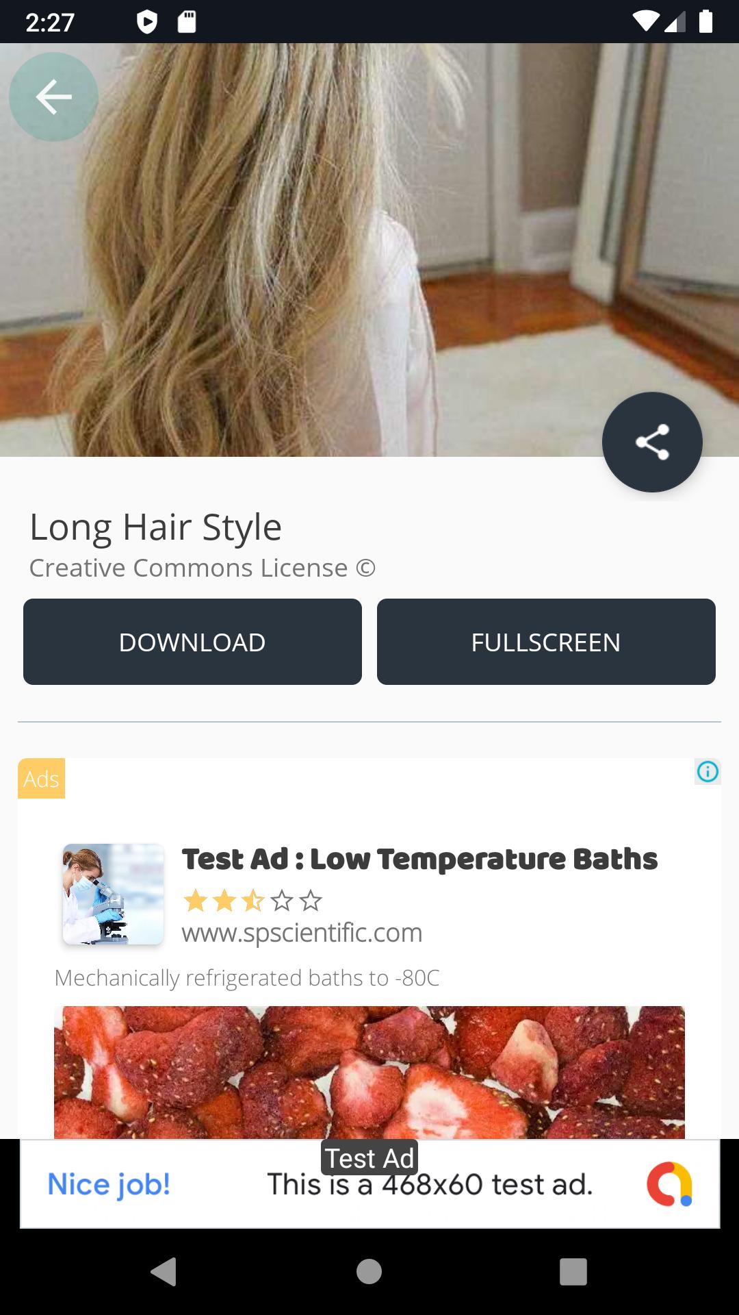 Long Hair Style