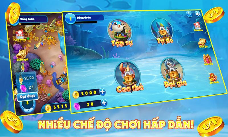 Ban Ca An Xu 2017