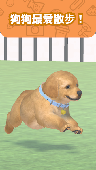 My Dog