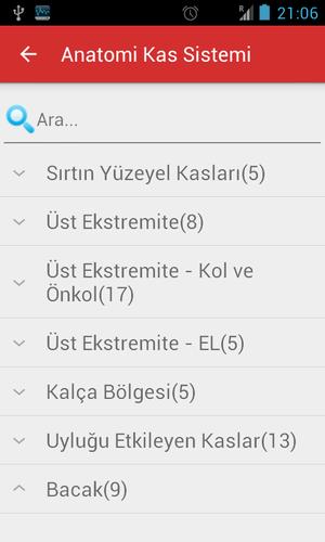 Anatomi Kas Sistemi