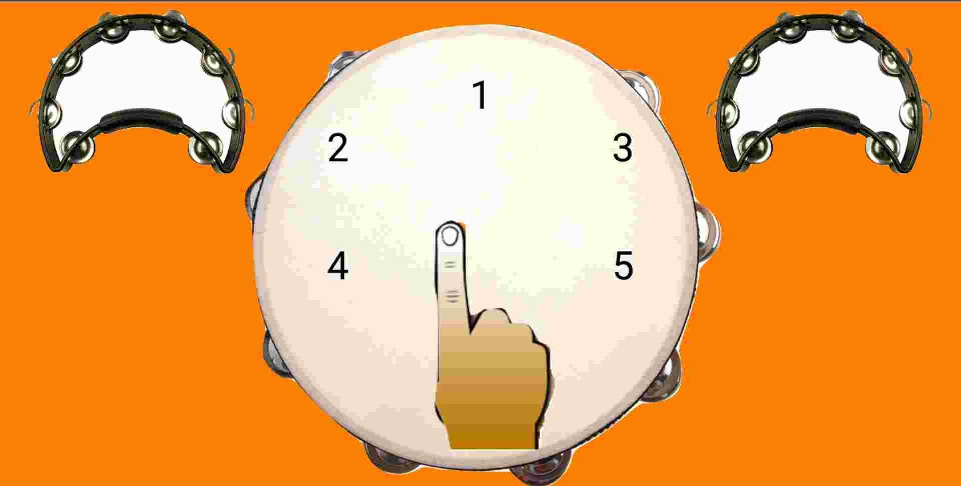 Real Tambourine
