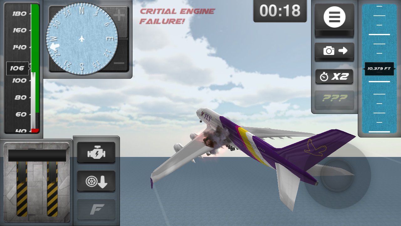 Airplane Emergency Landing