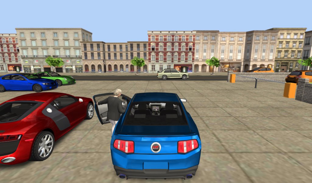 Car Parking Valet