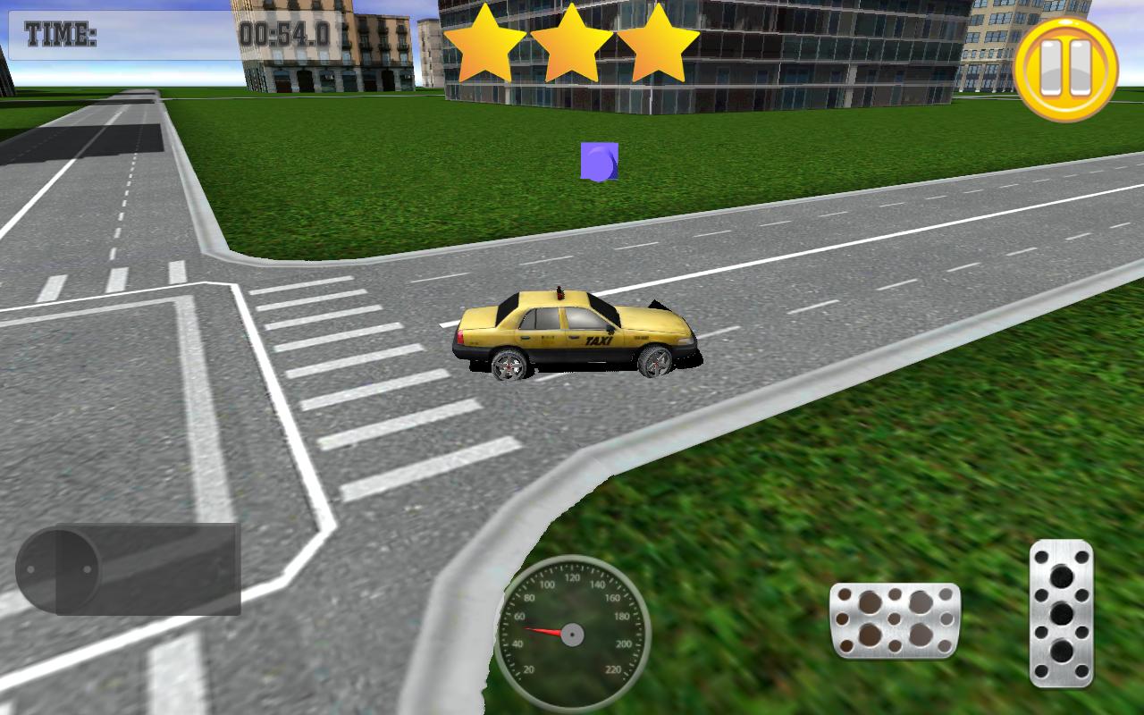 Real Taxi Driver