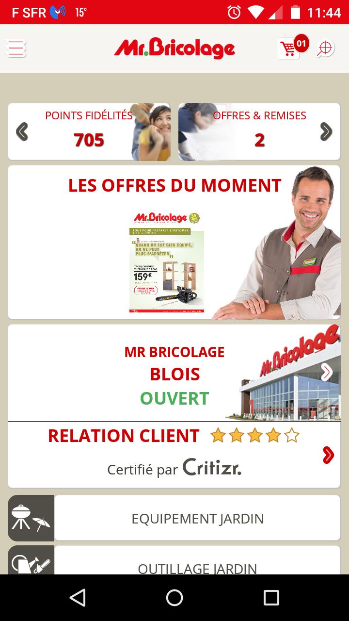 Mr. Bricolage