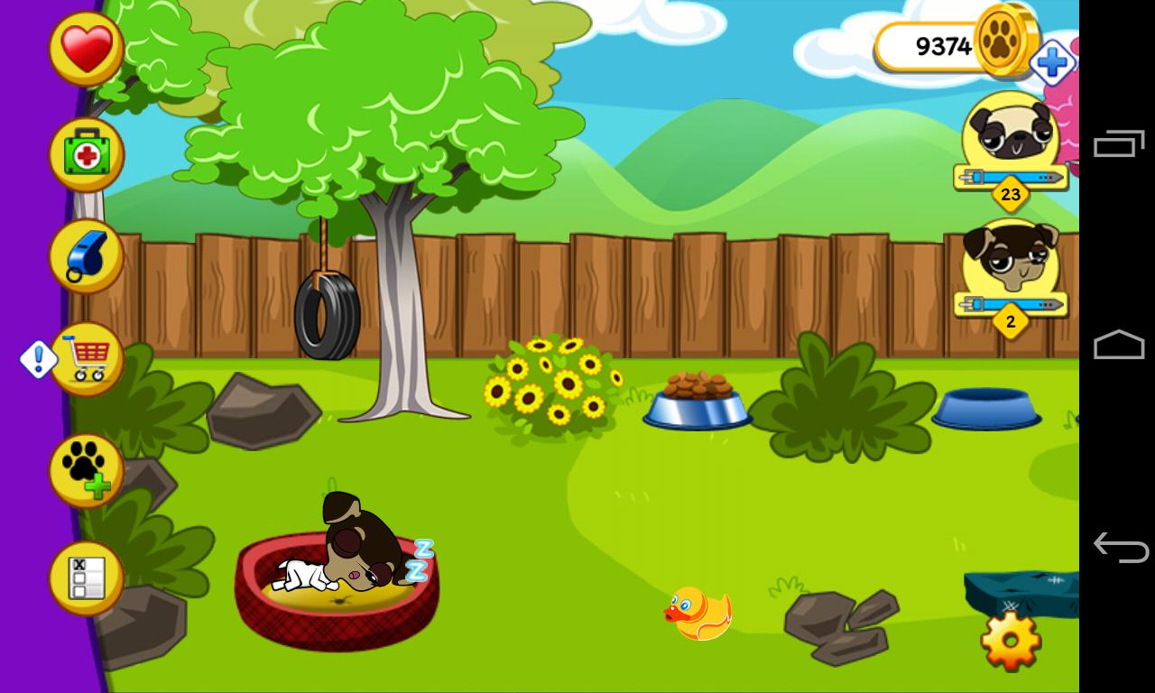 Pet Playground
