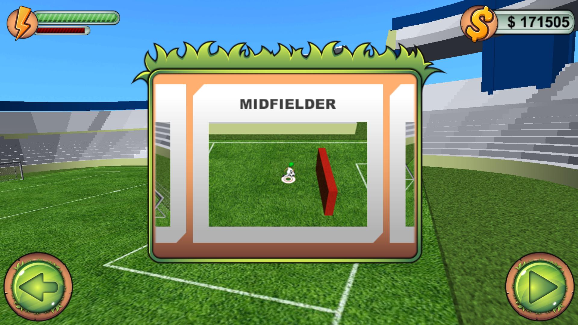 Soccer Career