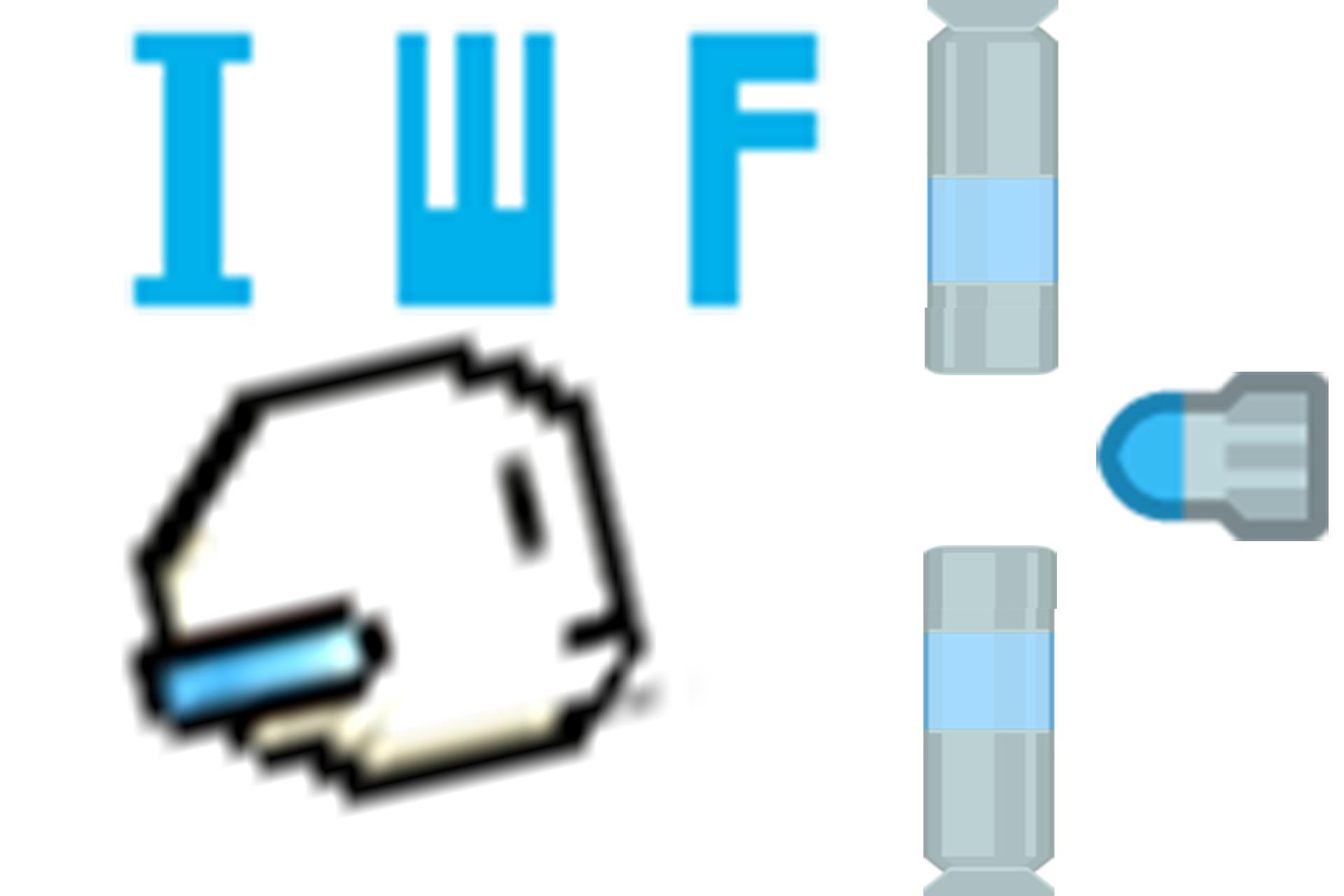 IWF - Fly Bird