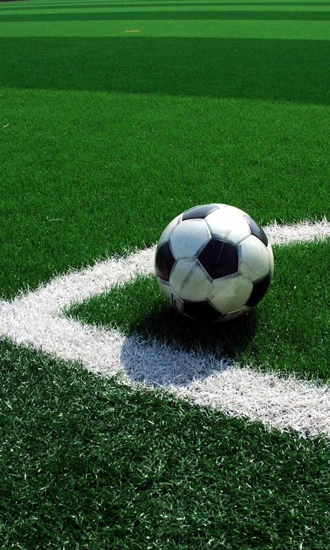 RSS Soccer Japan