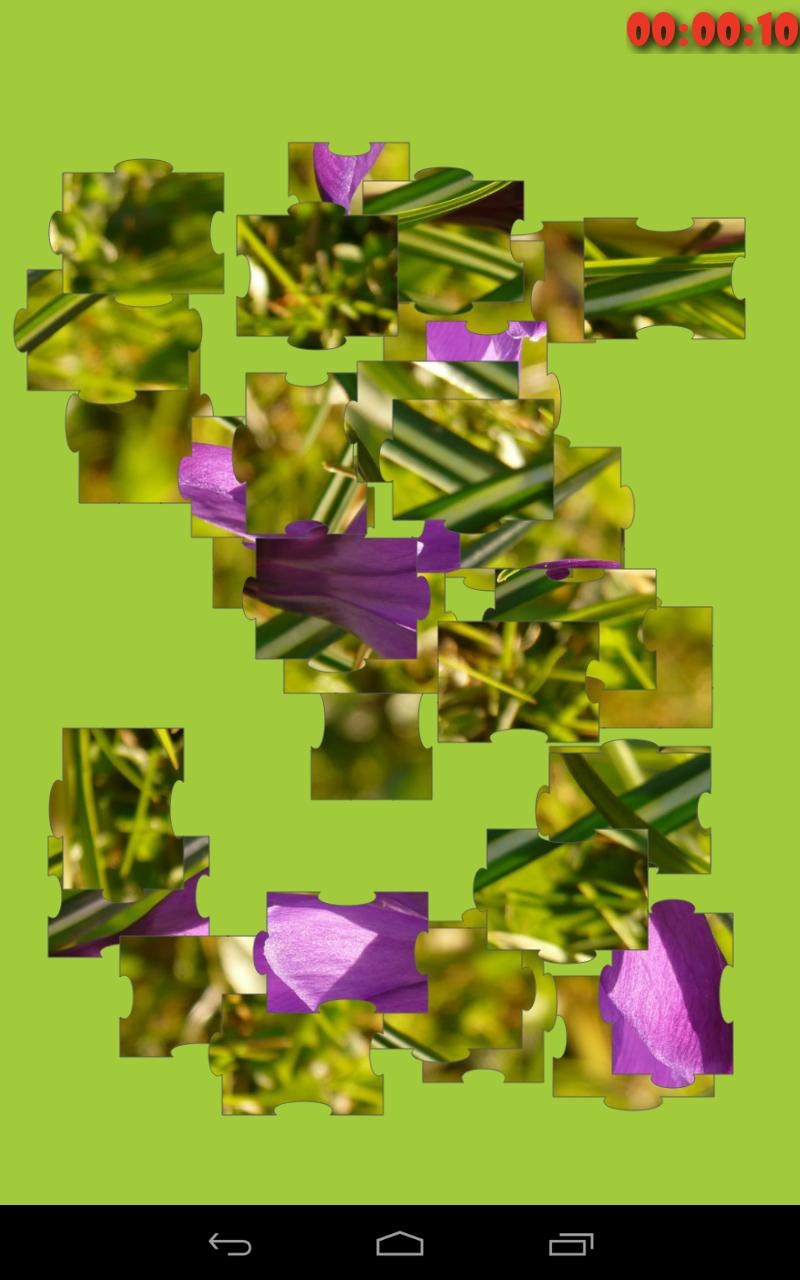 Spring Puzzle Free