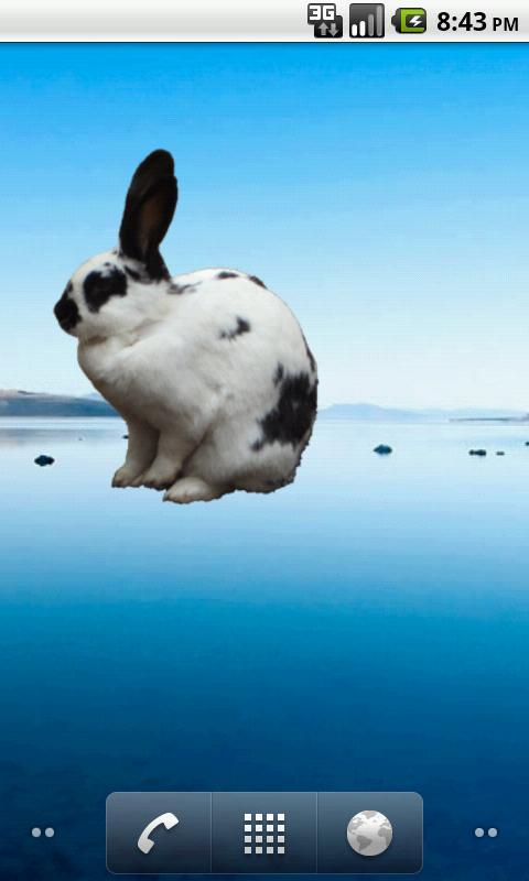 Bunny Sticker