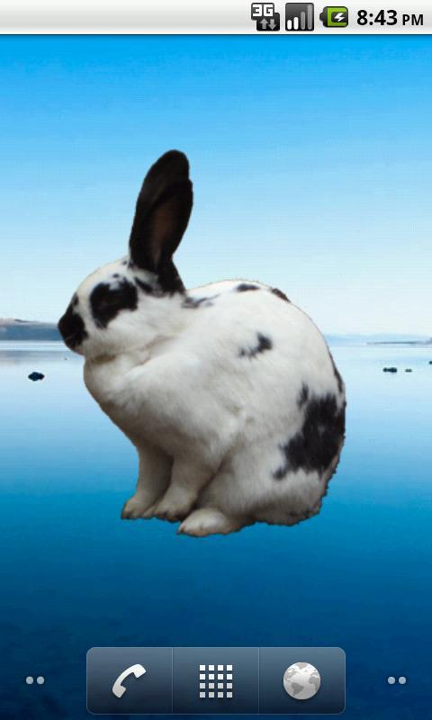 Bunny Sticker